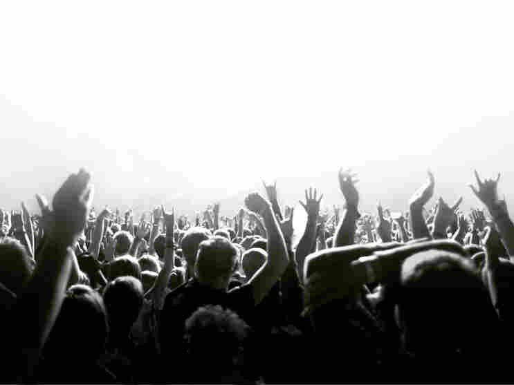 A crowd waving its hands.