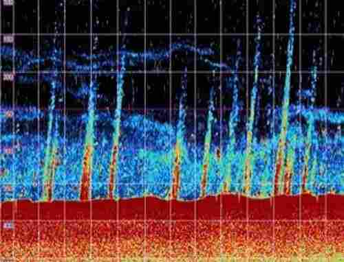 Methane plumes rising from the seafloor.