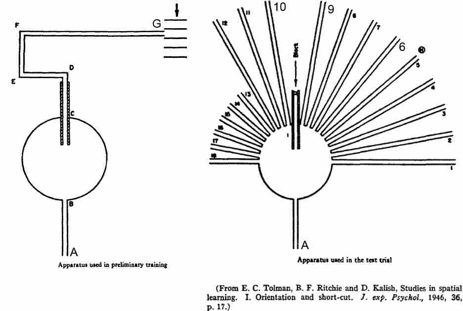 Image of two mazes, one shaped like a hook (left), the other like a sunburst (right)