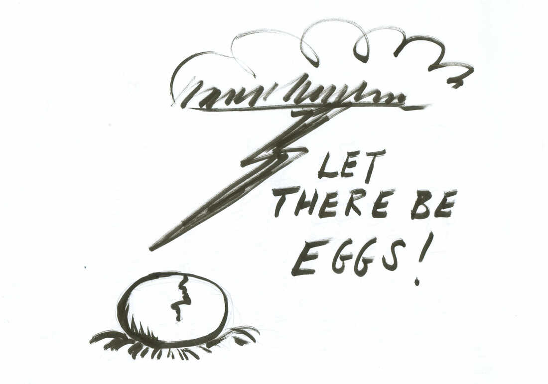 Let there be eggs!