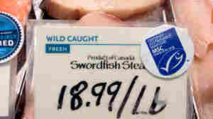 Most Americans Eager To Buy Seafood That's 'Sustainable'