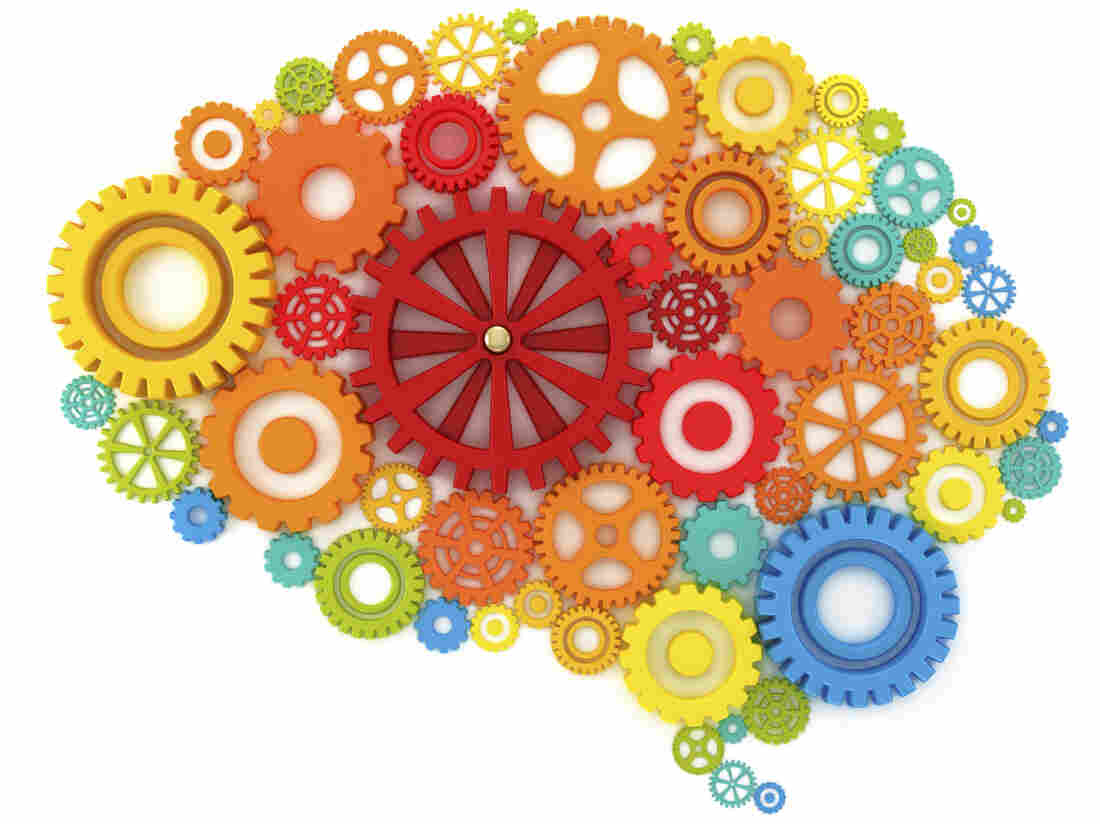 An illustration of a brain as a series of cogs.