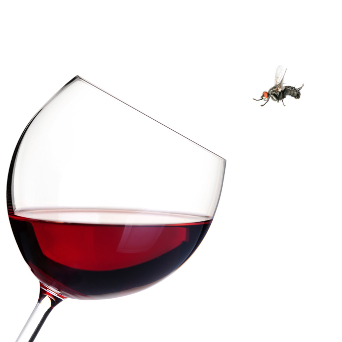 Can the AntiAging Secret Be Found In Red Wine? NPR