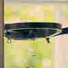 What's That Thing Hanging Outside My Bathroom Window? My Neighbor's Drone