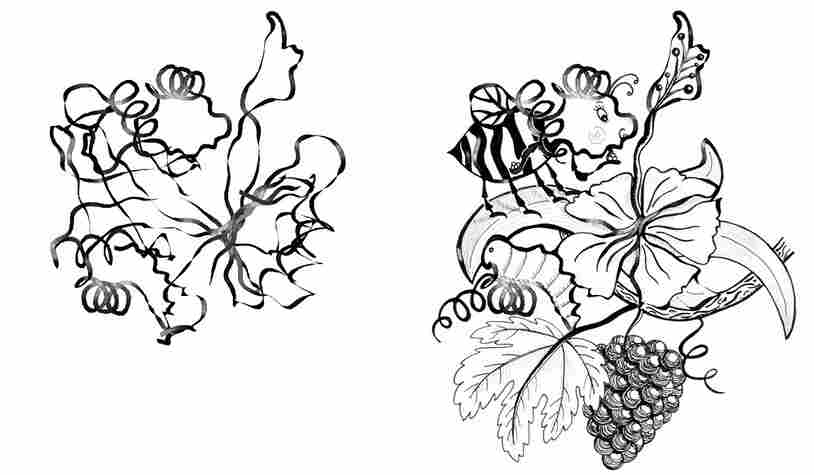 Cyanobacteria-Bee illustration