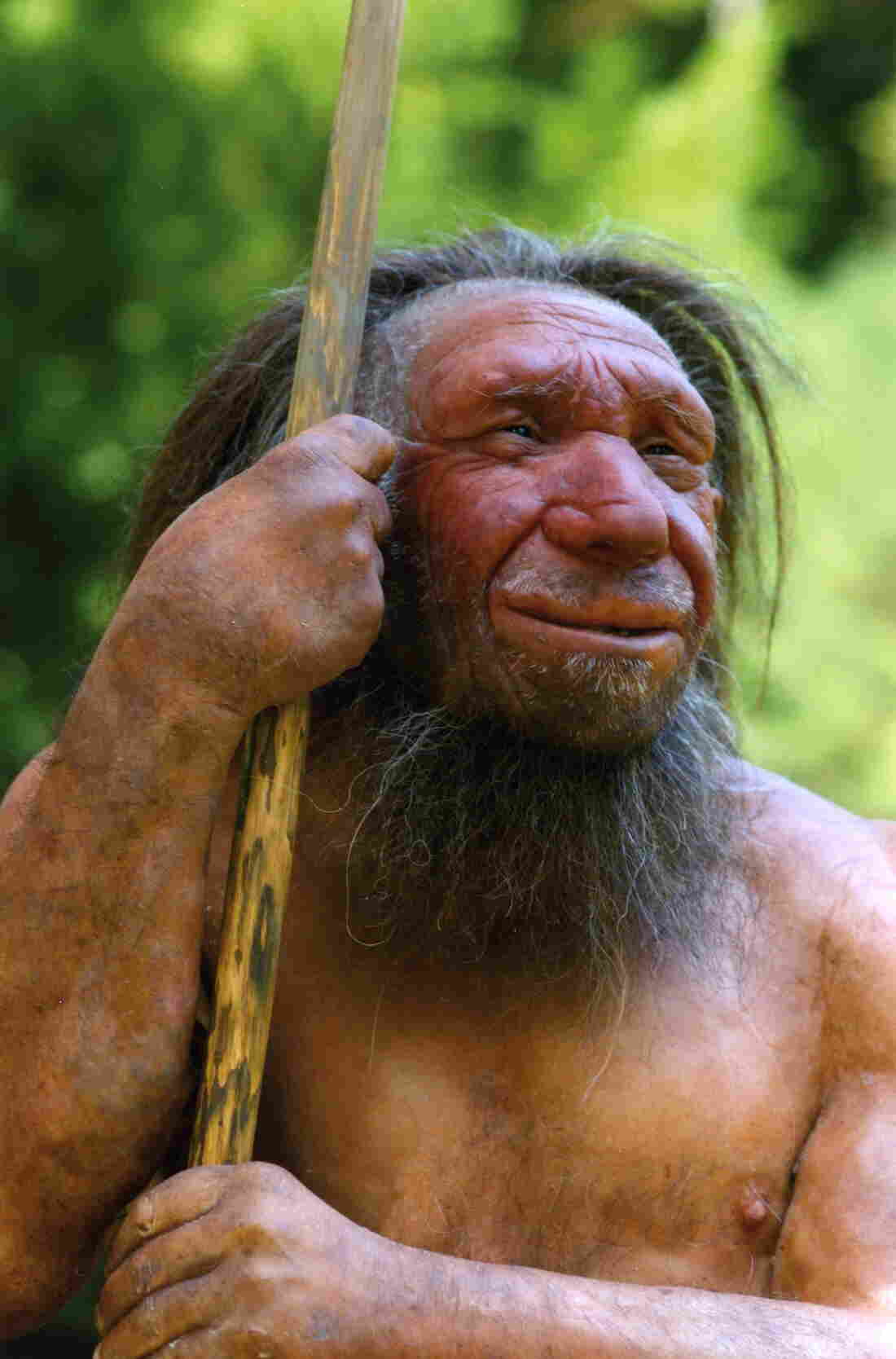 Neanderthal