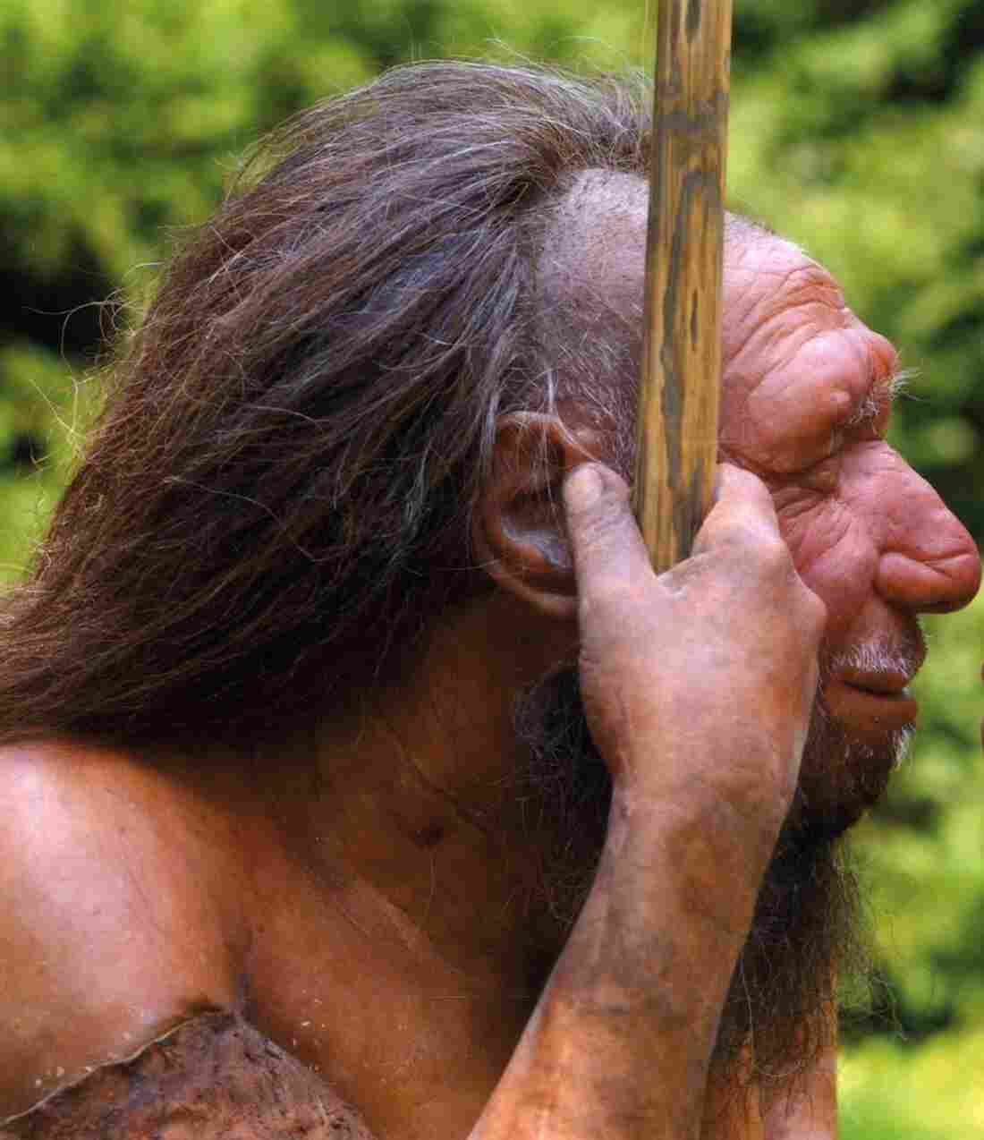Neanderthal profile
