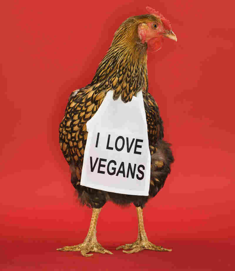 Golden Laced Wyandotte chicken wearing sign reading "I love vegans".
