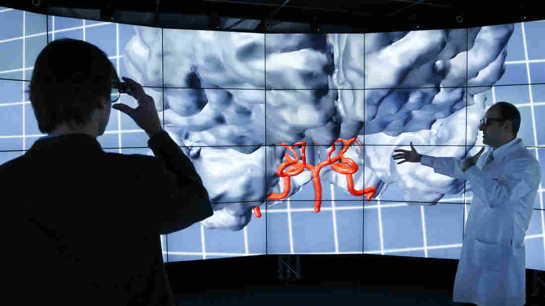 Andreas Linninger, University of Illinois, Chicago, professor of bioengineering, chemical engineering and computer science (left), adjusts his 3-D glasses Jan. 24 as brain surgeon Ali Alaraj talks about viewing the brain inside CAVE2, a system of 72 stereoscopic liquid crystal display panels that encircles the viewer and creates a 3-D environment.