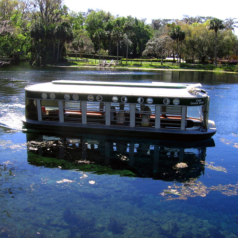 Now Endangered Florida S Silver Springs Once Lured Tourists Npr