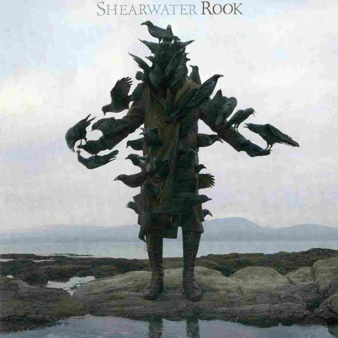 Shearwater's Rook cover