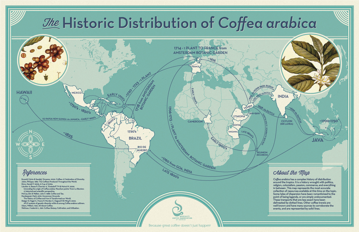 Why Is Coffee Important In History at Ryan Wing blog