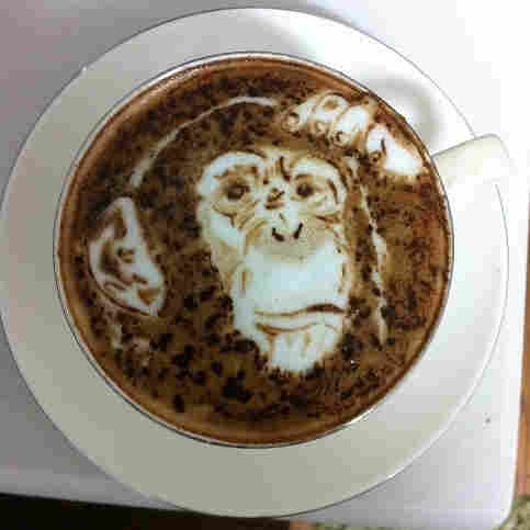 Monkey