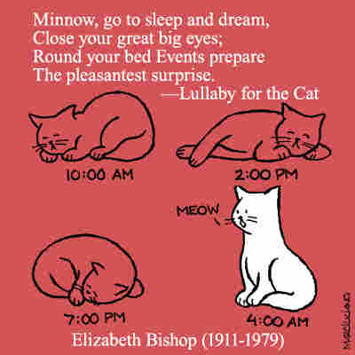 Elizabeth Bishop, from "Lullaby for the Cat"