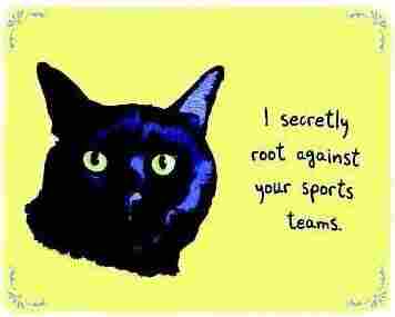 A cat next to the words, "I secretly root against your sports teams."