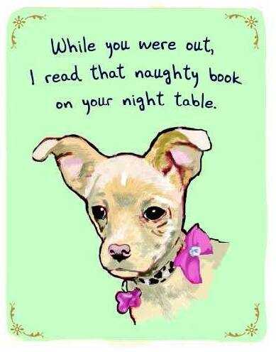 A dog under a caption reading "while you were out, I read that naughty book on your night table."