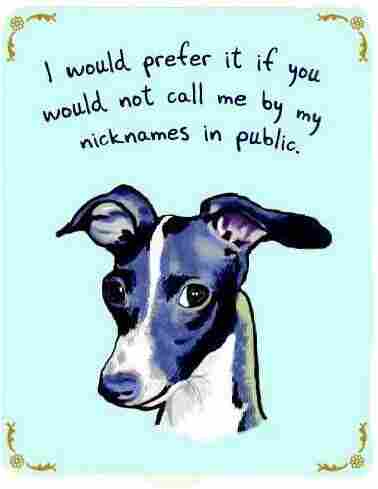 A drawing of a dog with "I would prefer it if you would not call me by my nicknames in public" over his head.