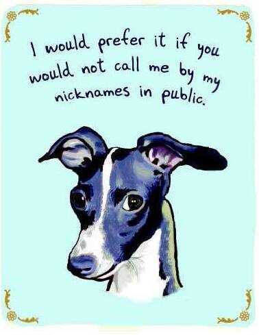A drawing of a dog with "I would prefer it if you would not call me by my nicknames in public" over his head.