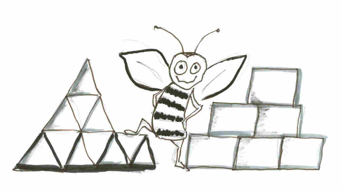 Bee with triangles and squares
