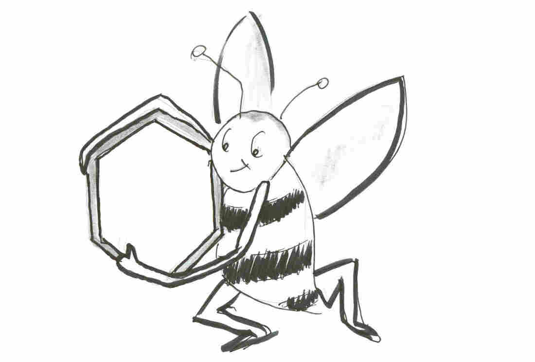 Bee with hexagon