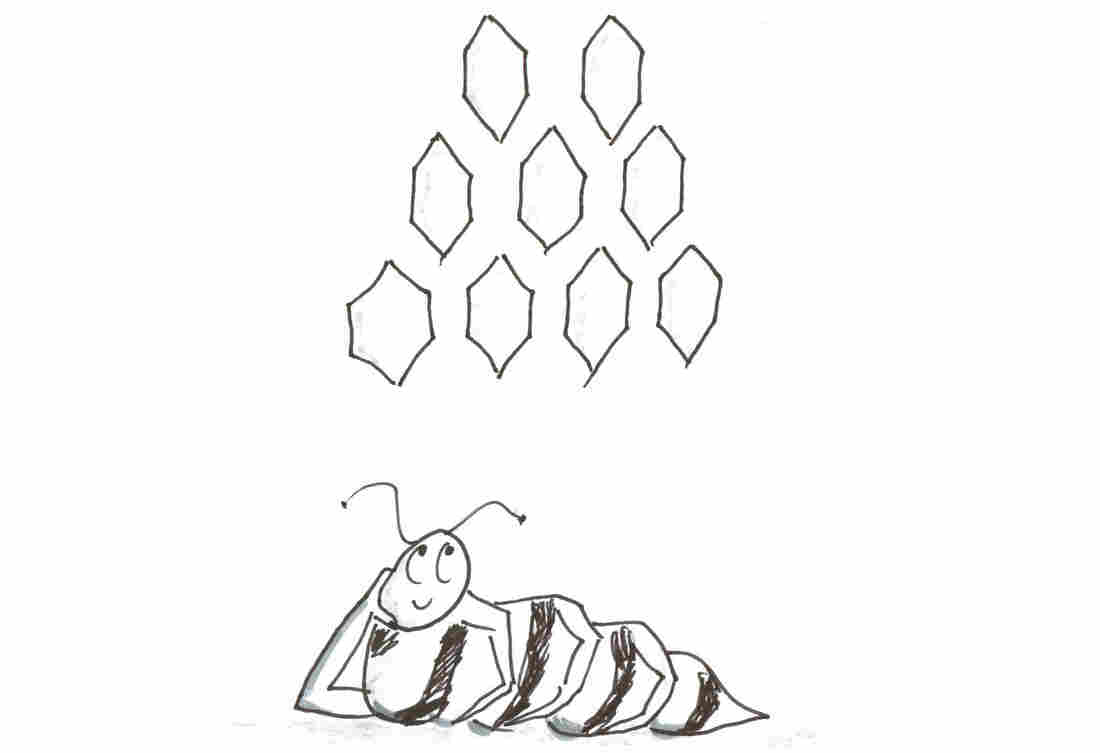 Bee dreaming