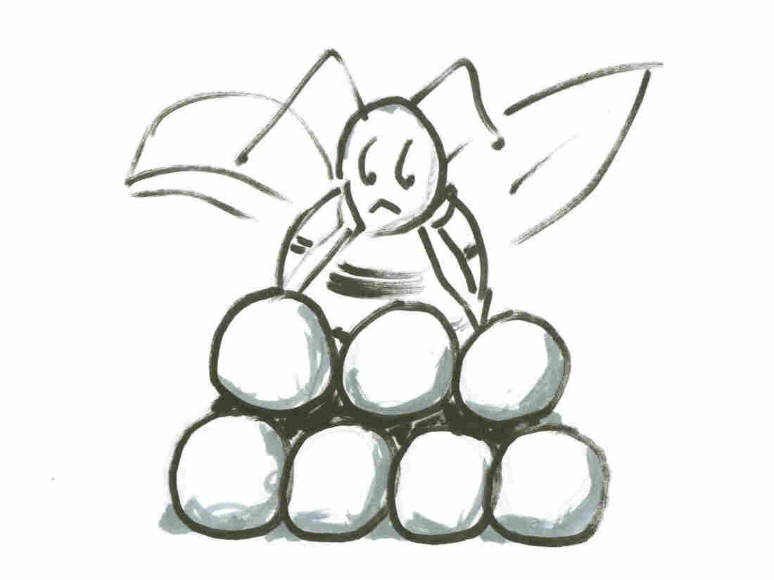Bee on spheres