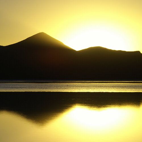 Siblings' Separation Haunts In 'Kite Runner' Author's Latest