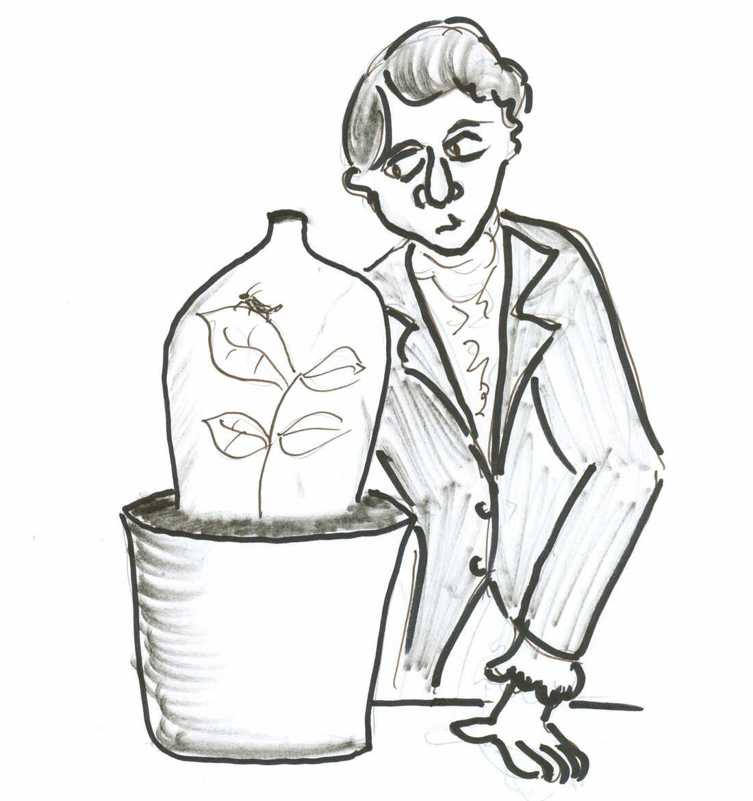 Aphid drawing 2