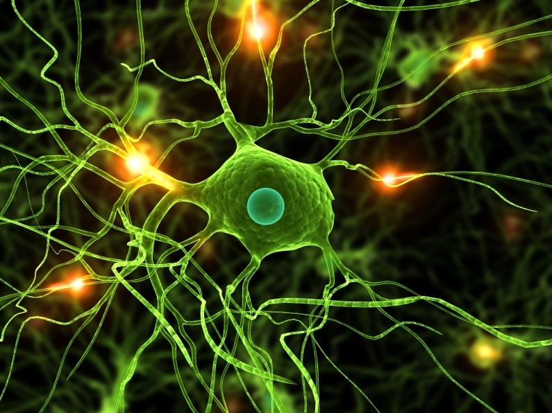 Genetic changes in signaling pathways in the brain may cause schizophrenia. (iStockphoto.com)