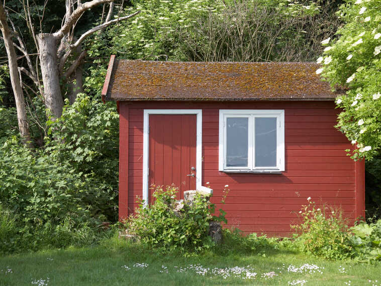 Shed