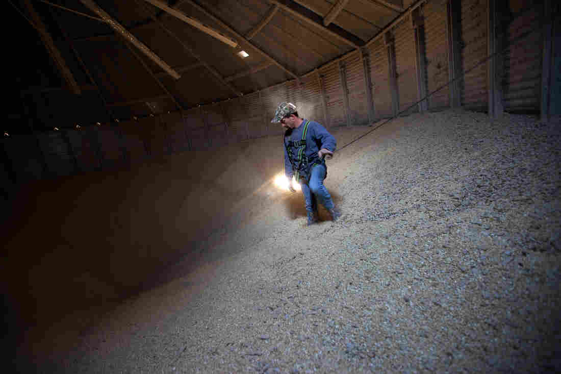 Grain Operator Austin Clubb surveys corn inside the Homestead Grain Facility at Amana Farms near Cedar Rapids, Iowa.