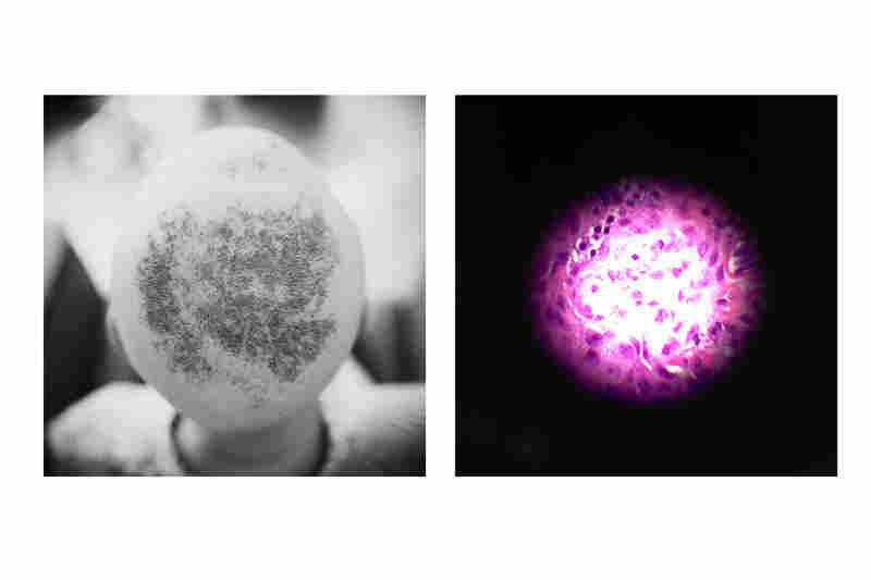 how beautiful are the cells(Left by Elizabeth Griffin; right by Amelia Coffaro)