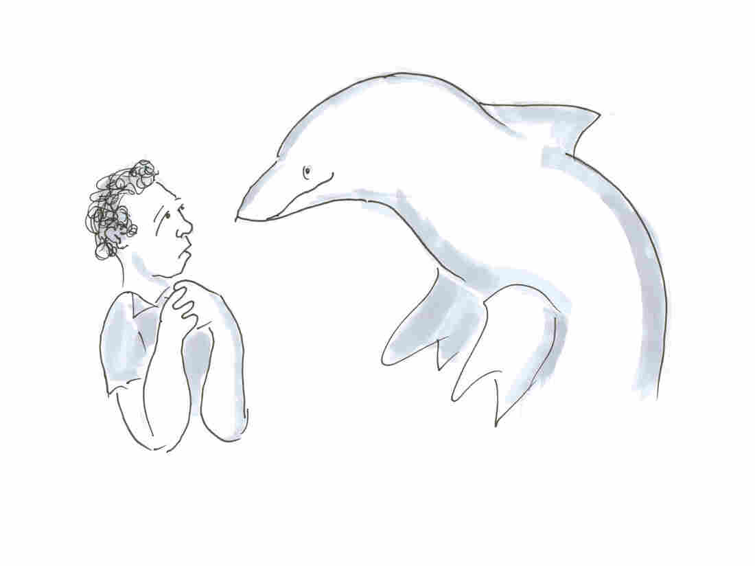 Man staring at Dolphin drawing.