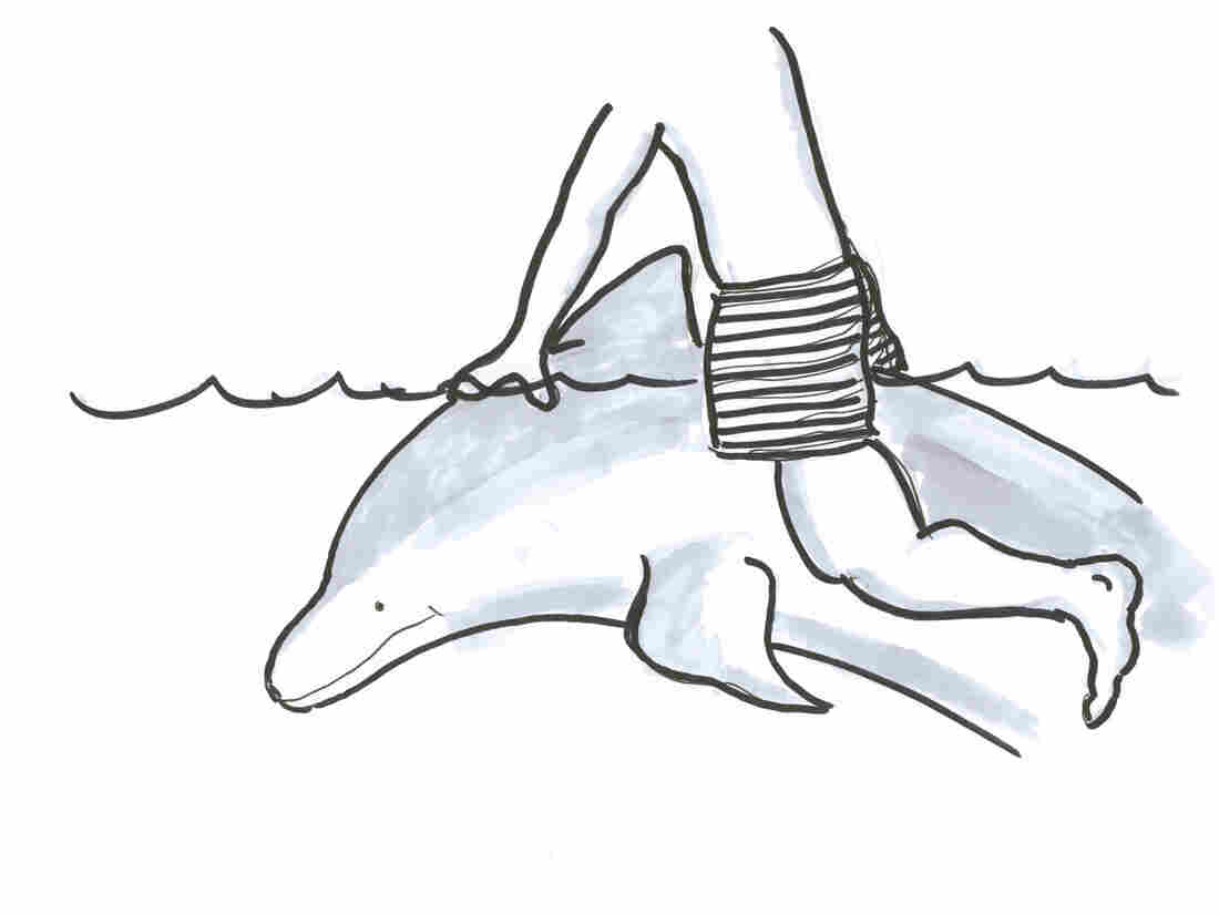 person riding dolphin drawing