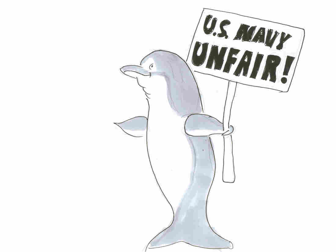Dolphin protesting