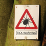 In the current New Yorker, Michael Specter explores the conflict among some people who suffer from Lyme disease, and the doctors who study it. In the current New Yorker, Michael Specter explores the conflict among some people who suffer from Lyme disease, and the doctors who study it.