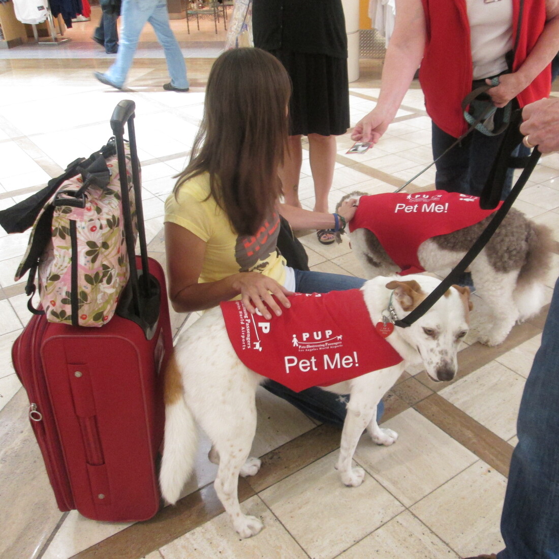 Cincinnati's Airport Best In The U.S.? NPR