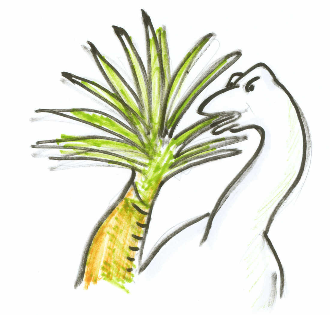 Dinosaur eating leaves