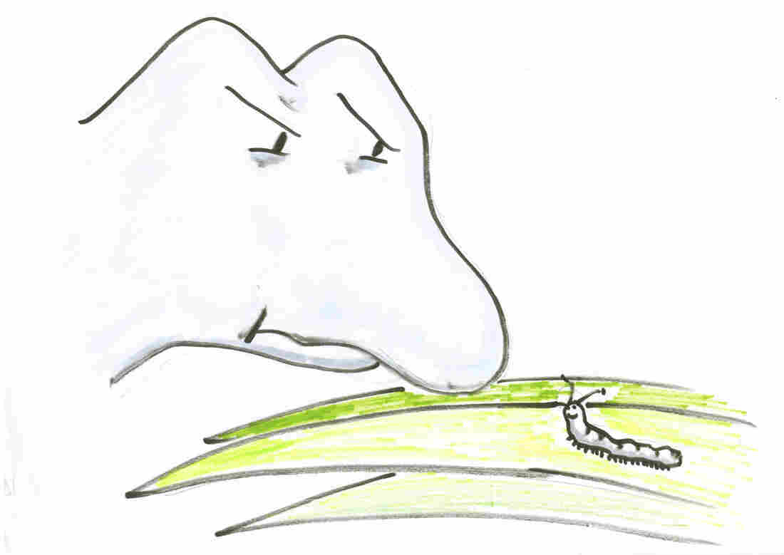 Dinosaur and caterpillar