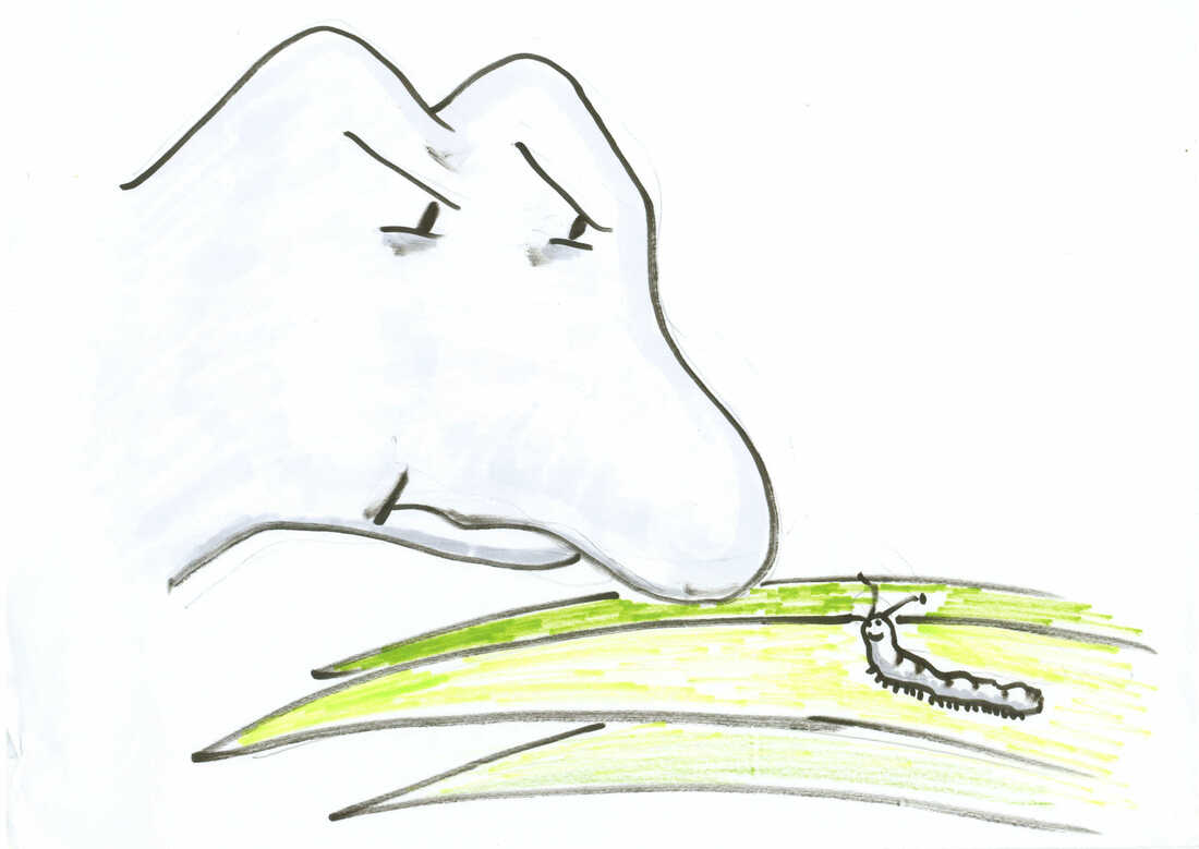 Dinosaur and caterpillar