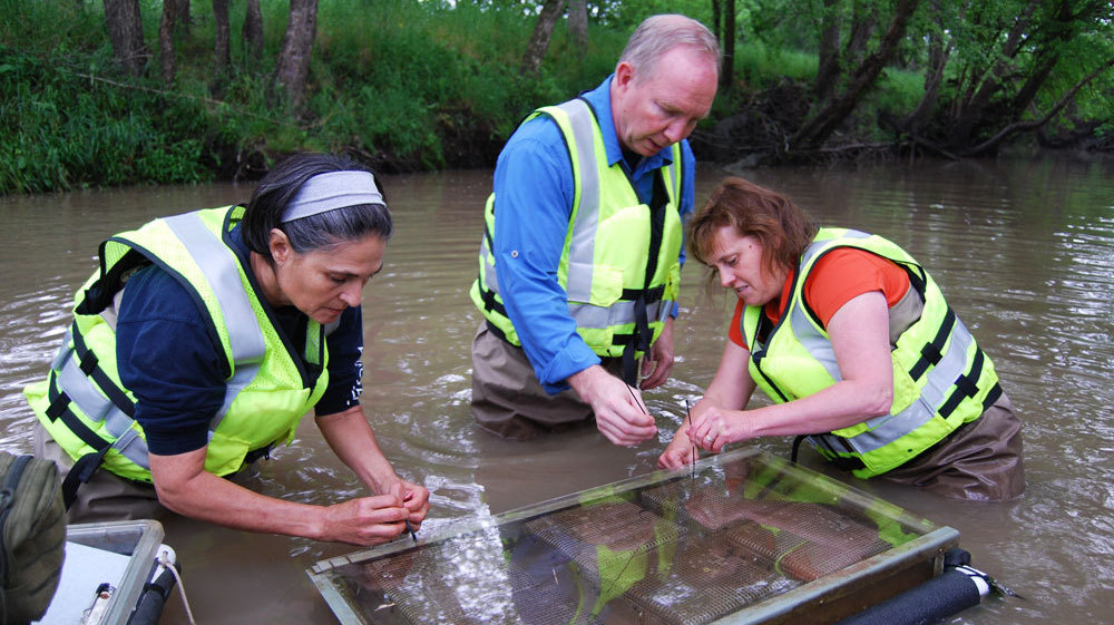 What Is Farm Runoff Doing To The Water? Scientists Wade In The Salt NPR
