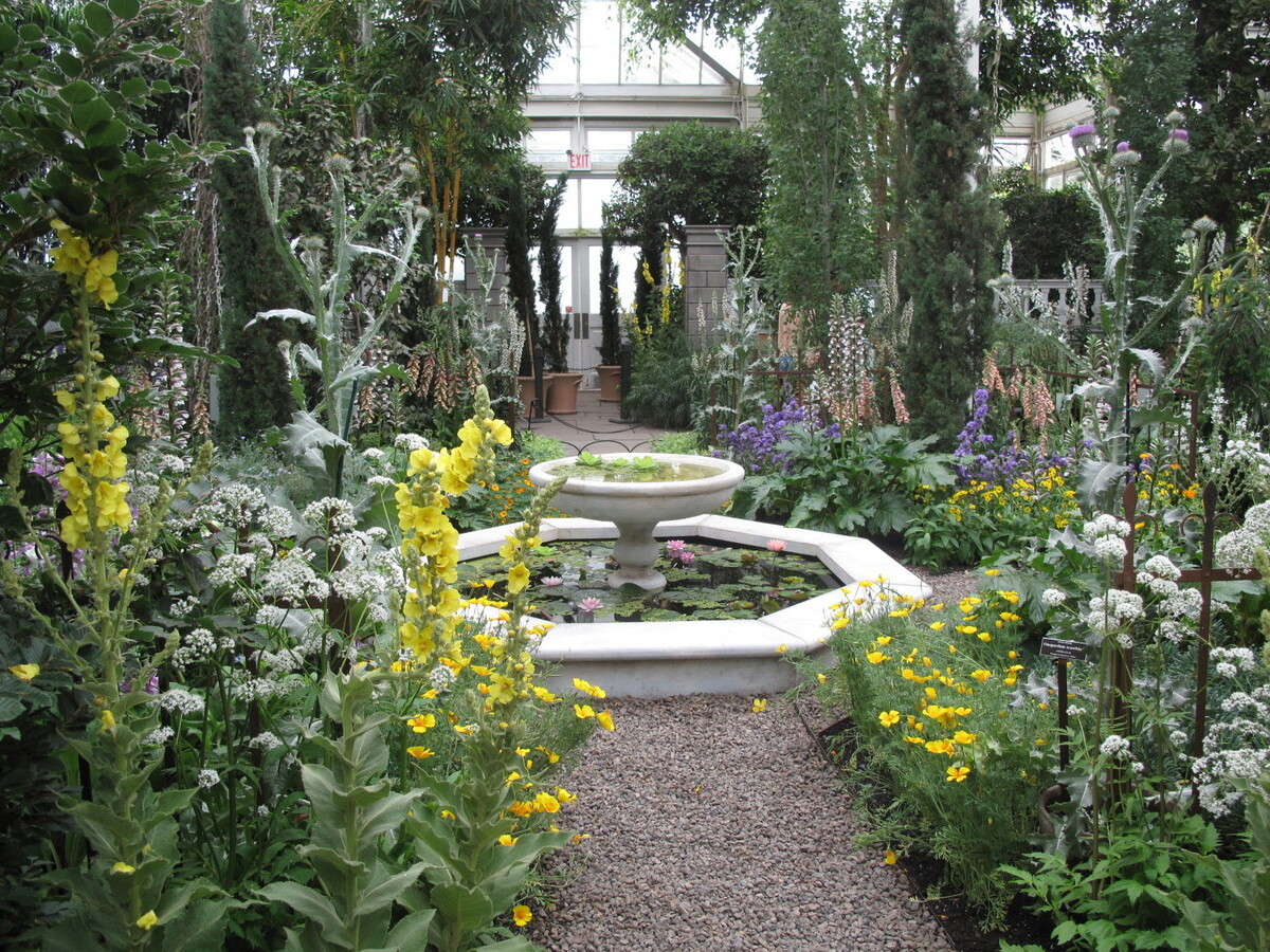 Growing The Latest In 16thCentury Medicine NPR