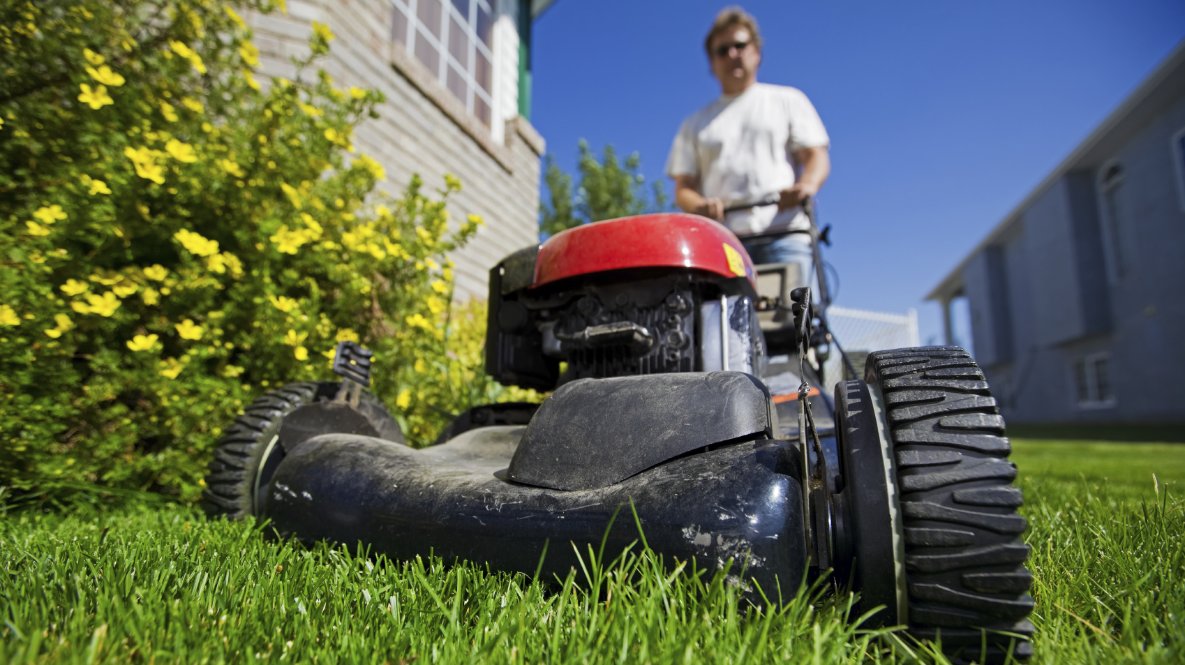 l-a-residents-get-paid-to-cut-lawns-permanently-wbur