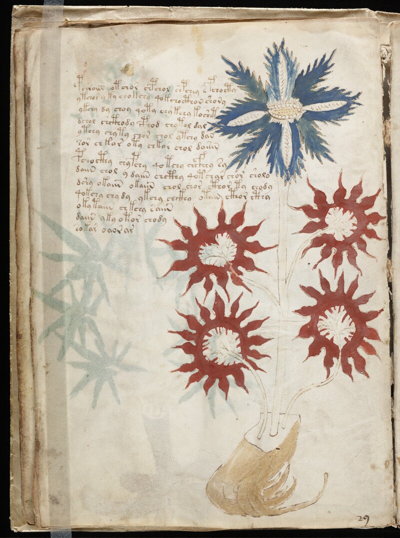 Ancient Roman Parchment