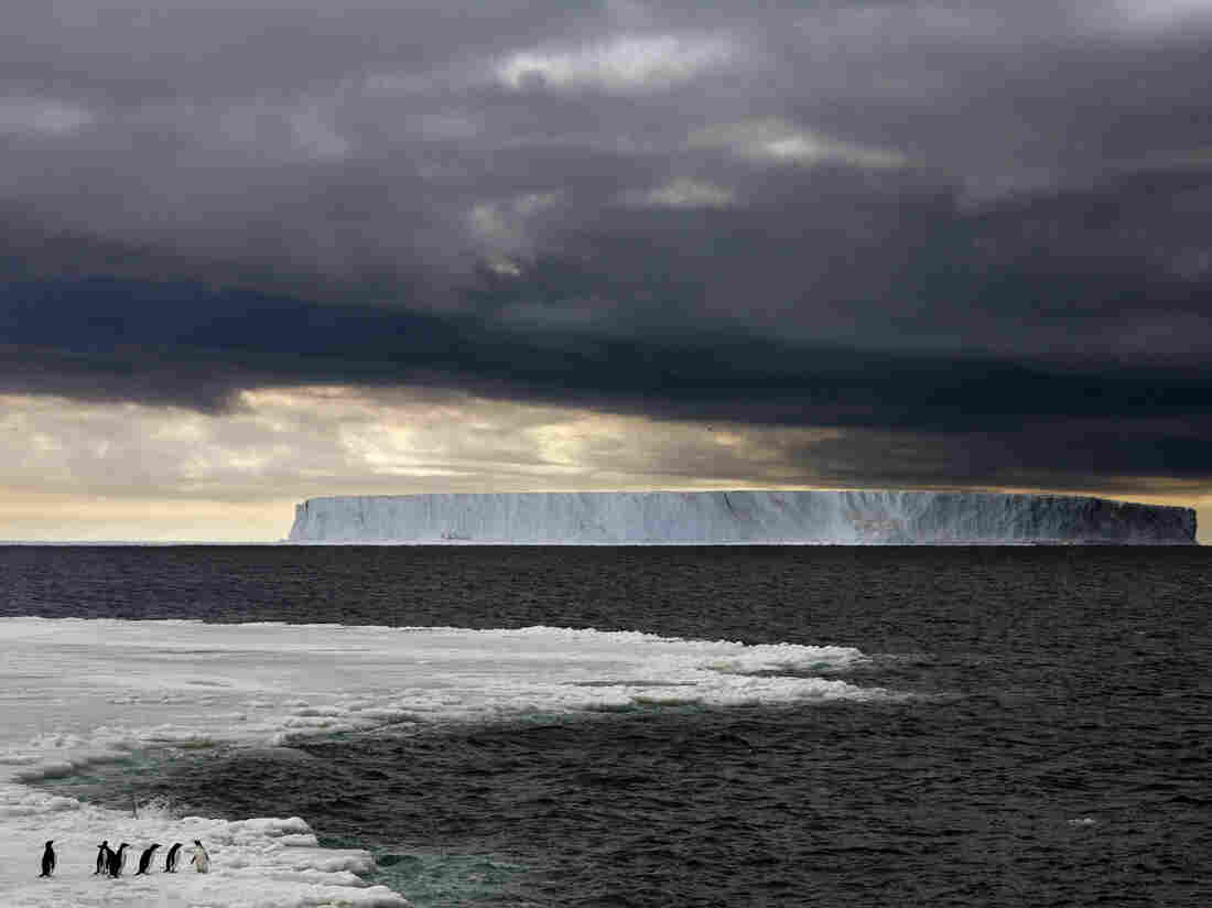 Iceberg