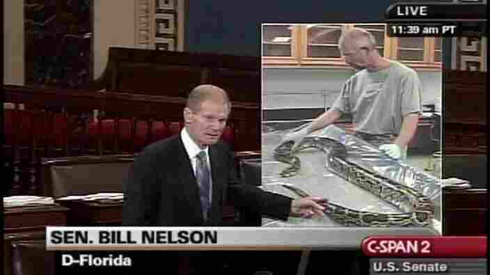 Sen. Bill Nelson (D-Fla.) with a floor chart featuring a photo of a snake.