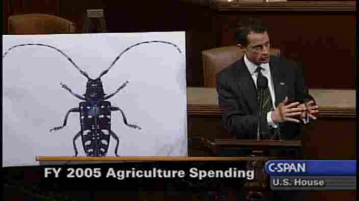 Rep. Anthony Weiner (D-N.Y.) and a floor chart of a bug.
