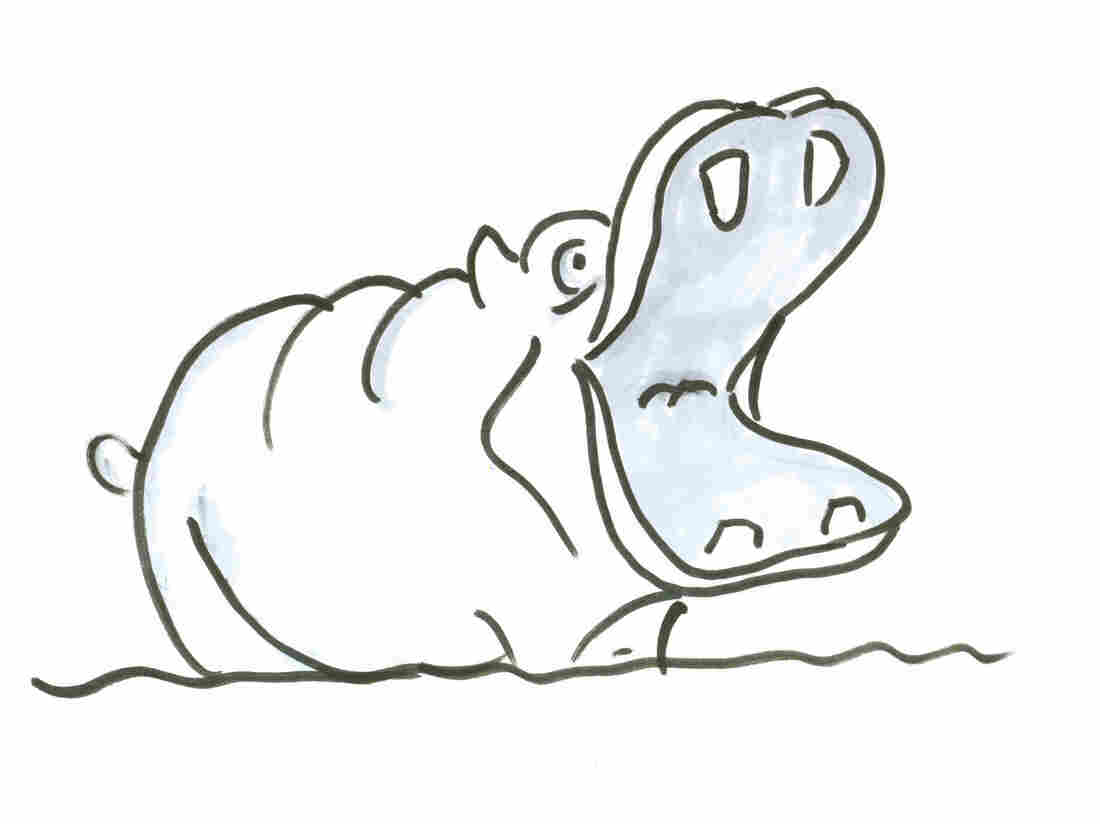 Hippo 1