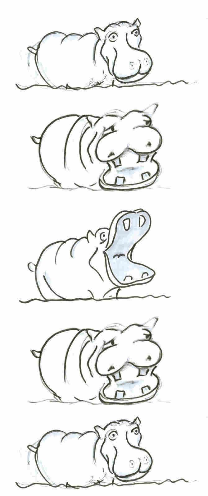 Hippo stack 2