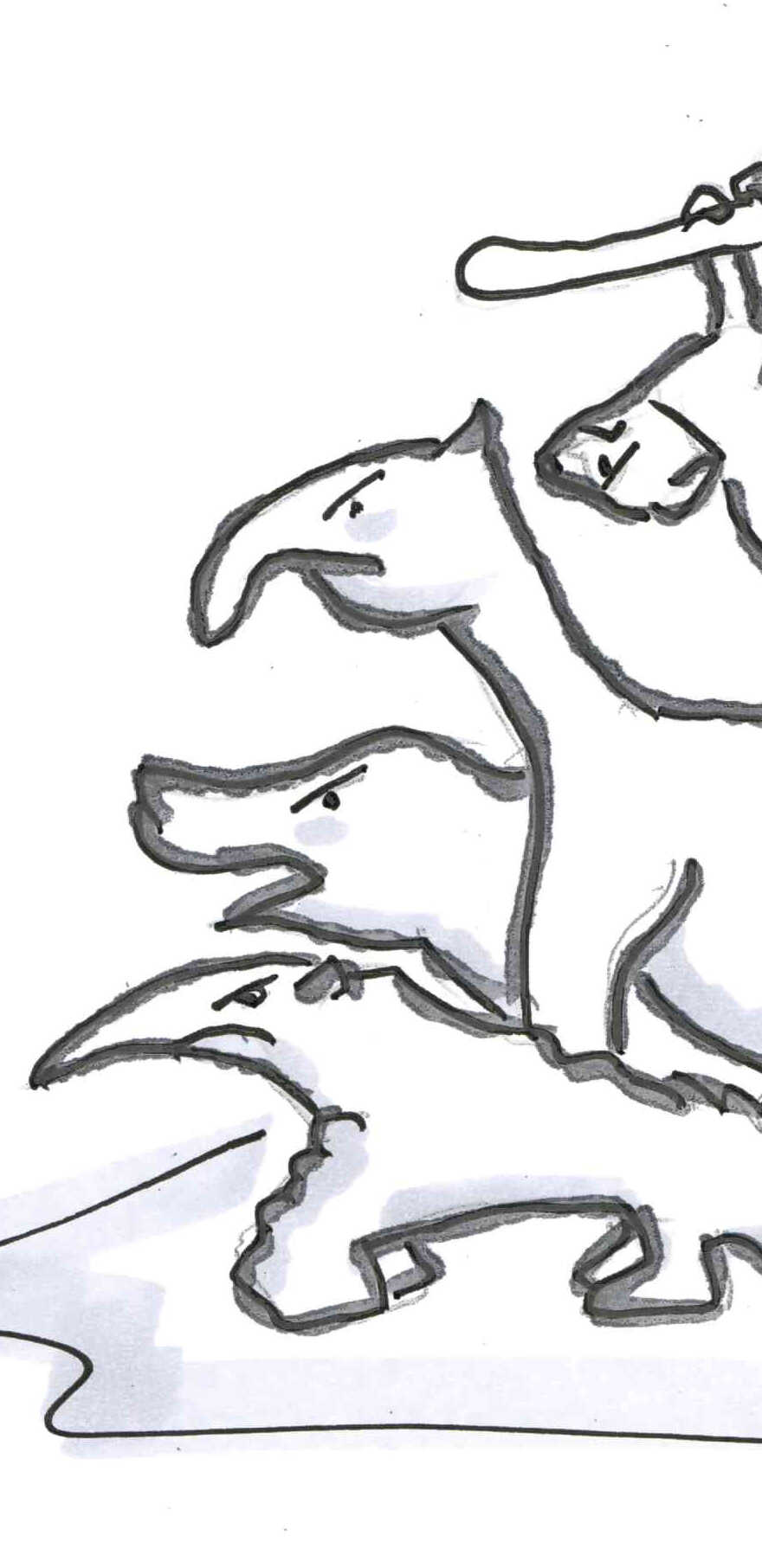 Southern animals